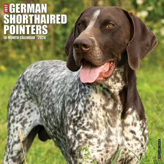 Willow Creek Press, Just German Shorthaired Pointers 2026 Wall Calendar, 12'' X 12'', 18-Month Calendar with Stapled Binding
