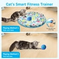 thumbnail image 3 of Interactive Cat Toys, Cat Toys Ball Fast Rolling in Pouch, Automatic Motion Activated Moving Ball Hide and Seek Game for Indoor Exercise Kicker, 3 of 8