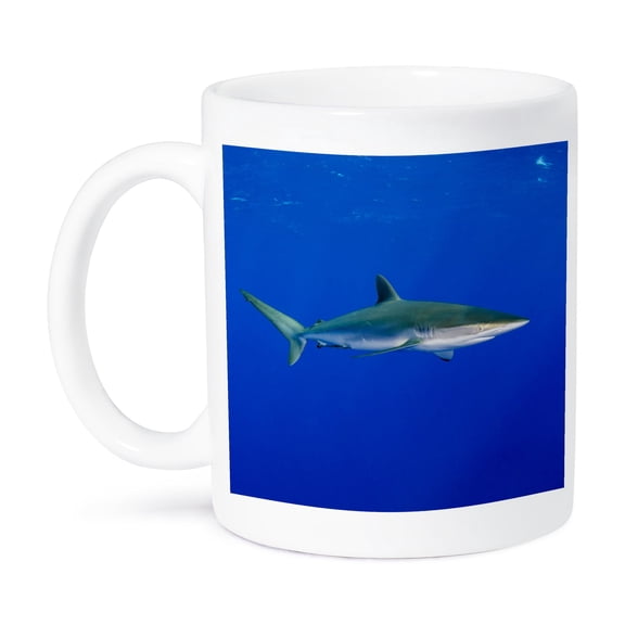 3dRose, Silky Shark, Carcharhinus falciformis, Jardines de la Reina NP, Cuba, 11oz Mug