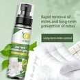 thumbnail image 3 of RAGUPEL 2026 New Odor Eliminator & Air Freshener Spray,Portable Deodorizer,Natural Plant-Based Formula for Furniture,Shoes,Pets,Carpets,Cars,Clothes (Unscented), 3 of 7