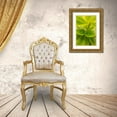 thumbnail image 3 of Millet, Karyn 17x24 Gold Ornate Wood Framed with Double Matting Museum Art Print Titled - Tropical Leaves II, 3 of 4