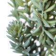thumbnail image 2 of Sedum Pick artificial verde y rojo Vickerman Everyday 8, 2 of 9