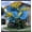 Elephant Ear-C, variant on Giant Elephant Ear Taro — A Gardening Essential — Adds a Fresh, Natural Accent to Yards and Pathways — The Premier Choice for Tropical Landscaping — (Non-Artificial)