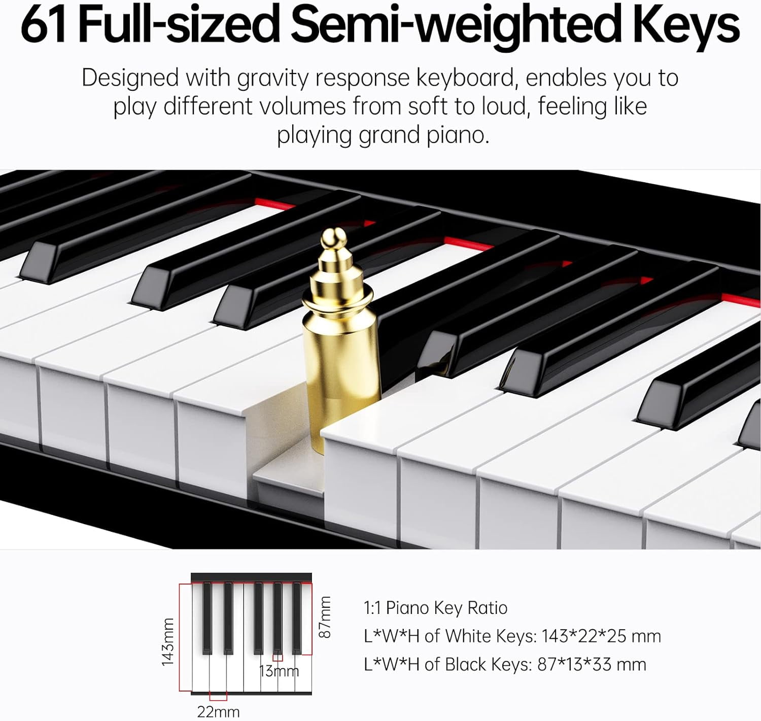 TERENCE Electronic Piano with 61 Semi Weighted Keys