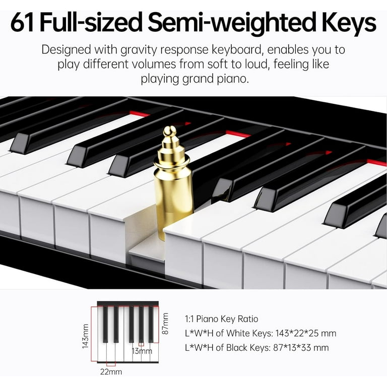 TERENCE 61鍵 電子オルガン TERENCE 61鍵 電子オルガン Amazon | TERENCE 電子ピアノ 61鍵