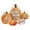 C, variant on 5 Pcs Fall Pumpkin Decor for Home Thanksgiving Wooden Table Centerpiece Decorations Fall Wooden Pumpkin Signs for Autumn Farmhouse Home Living Room Kitchen Mantle Tabletop Supplies