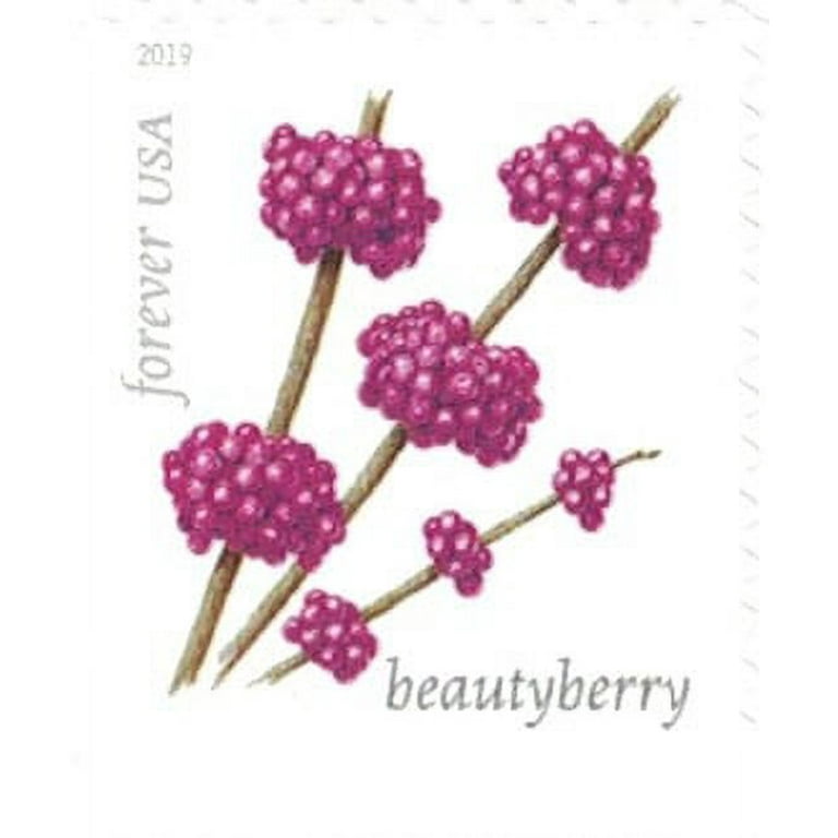 USPS Winter Berries Forever Stamps - book of 20