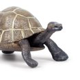 thumbnail image 3 of 1pc Plastic Simulated Tortoise Animal Model Desktop Adornment Ornament for Home Office, 3 of 8