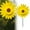 B, variant on Sunflower Windmill Large Outdoor Garden Wind Yard Party Decoration Durable Weather-