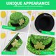 thumbnail image 4 of 2pcs St. Patrick's Top Hat Hat Design Clip de pelo Decorativo Horquilla Tocado, 4 of 6