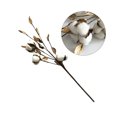 thumbnail image 3 of HEALEEP Dried Flowers Cotton 1Pack Multi Rustic Farmhouse Style Cotton Branches Friends Event, 3 of 4