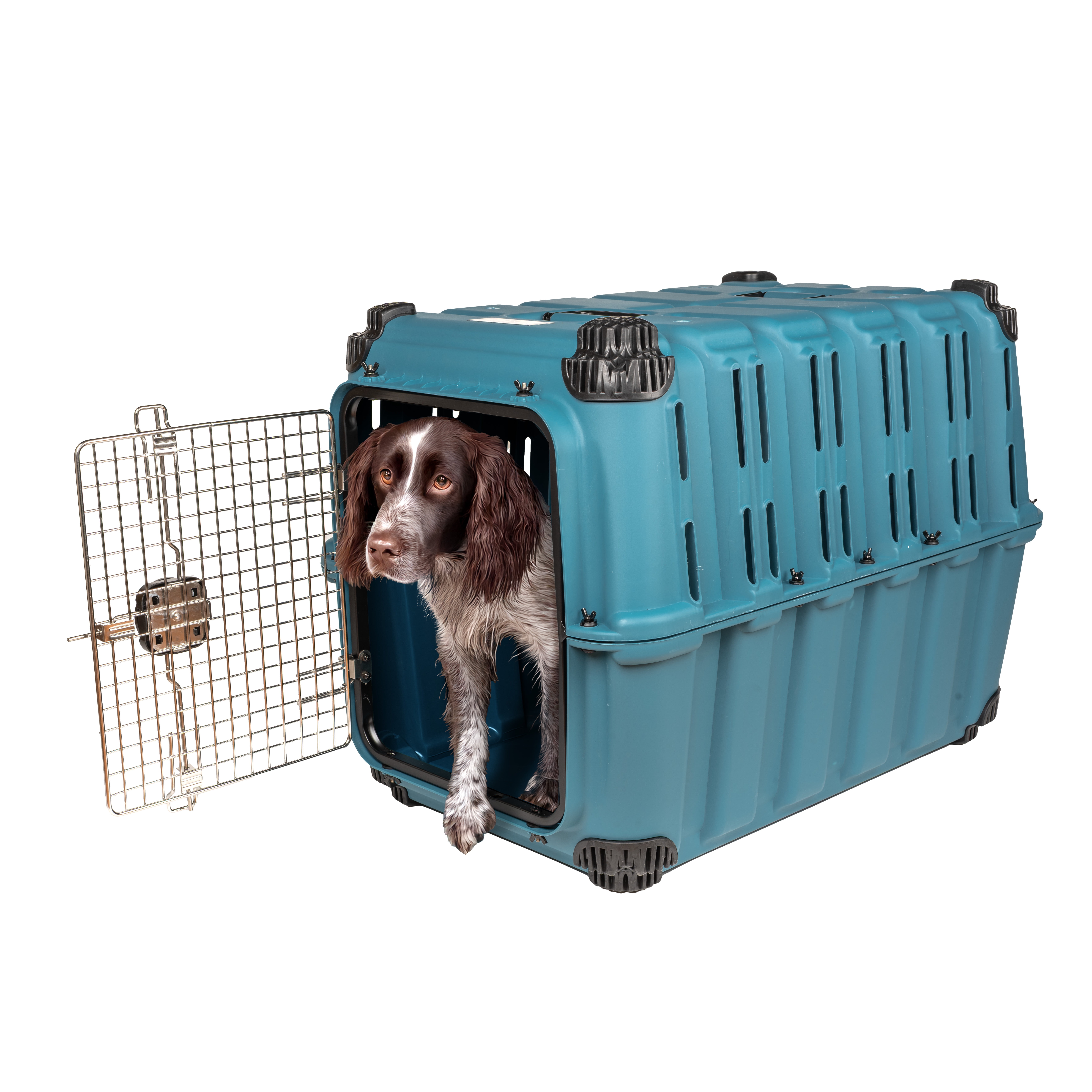 Mammoth Guardian Strong and Durable 36" Plastic Dog Kennel, Blue, Heavy-Duty Travel Crate
