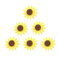 thumbnail image 2 of 36 broches de girasol de tela no tejida con margaritas, accesorios para ropa, bufandas, hebillas y suéteres (amarillo), 2 of 5