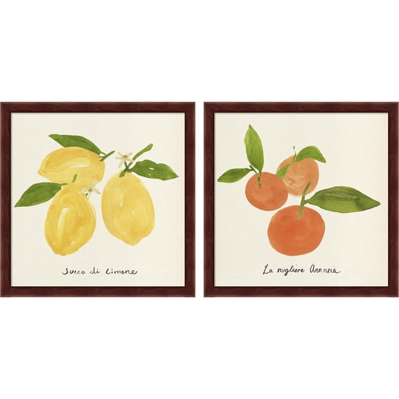 Great Art Now Citrus Trattare by Annie Warren, 2 Piece Framed Art Set Each 13.25"W x 13.25"H