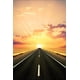 thumbnail image 3 of Fondo de fotografía de retrato para niños y adultos con carretera de Laeacco, camino sinuoso sin fin, paisaje natural, campo, árbol frondoso, 3 of 5