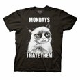 thumbnail image 1 of Grumpy Cat Mondays I Hate Them Mens Navy Blue T-Shirt | L, 1 of 1