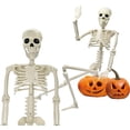 thumbnail image 1 of Esqueleto de Halloween de 5,4 pies/165 cm, esqueleto de tamaño completo con capa negra, huesos humanos de tamaño natural para Halloween, patio, jardín, decoración de fiesta espeluznante, 1 of 4