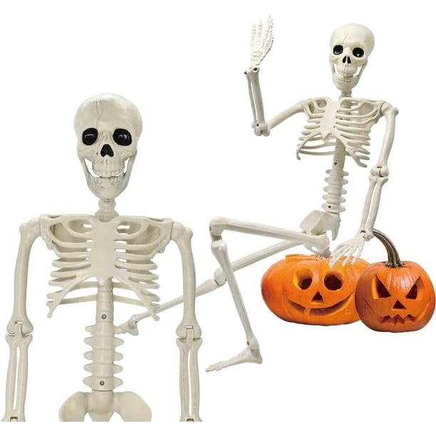Esqueleto de Halloween de 5,4 pies/165 cm, esqueleto de tamaño completo con capa negra, huesos humanos de tamaño natural para Halloween, patio, jardín, decoración de fiesta espeluznante