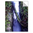 thumbnail image 2 of Dean Uhlinger "Sol Duc River Slot" Removable Wall Art, 2 of 2