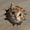 Cute Kitten Breaking Through Wall, variant on Qisvanset Saint With Lion Illustration Canvas Wall Art 15.75x11.81 Inches