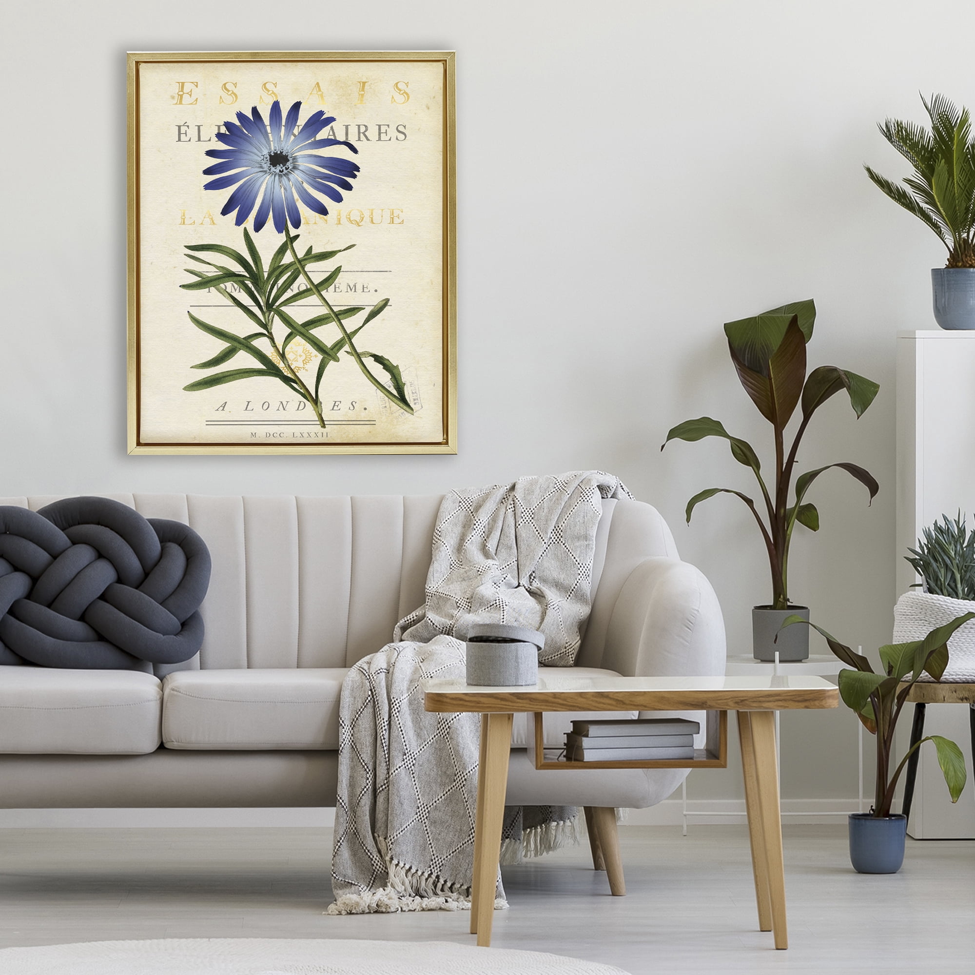 Stupell Industries Natural Botany Daisy Gold Framed Floater Canvas Wall Art, design by Susan Arnot