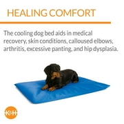 K&H Pet Products Cool Bed III Blue Small 24 X 17 Inches