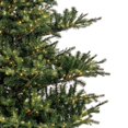 thumbnail image 6 of Vickerman  9 ft. x 81 in. Green Sherwood Fir Artificial Pre-Lit Christmas Tree with 1450 LED Color Changing - 3 mm, 6 of 10
