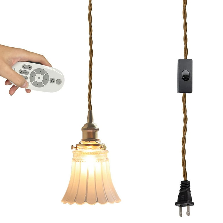 FSLiving Hanging Swag Lamp no Wiring Needed Portable Pendant Light with 15ft Plug in ON Off Cord Remote Control with Stepless dimming Cone Shape Retro