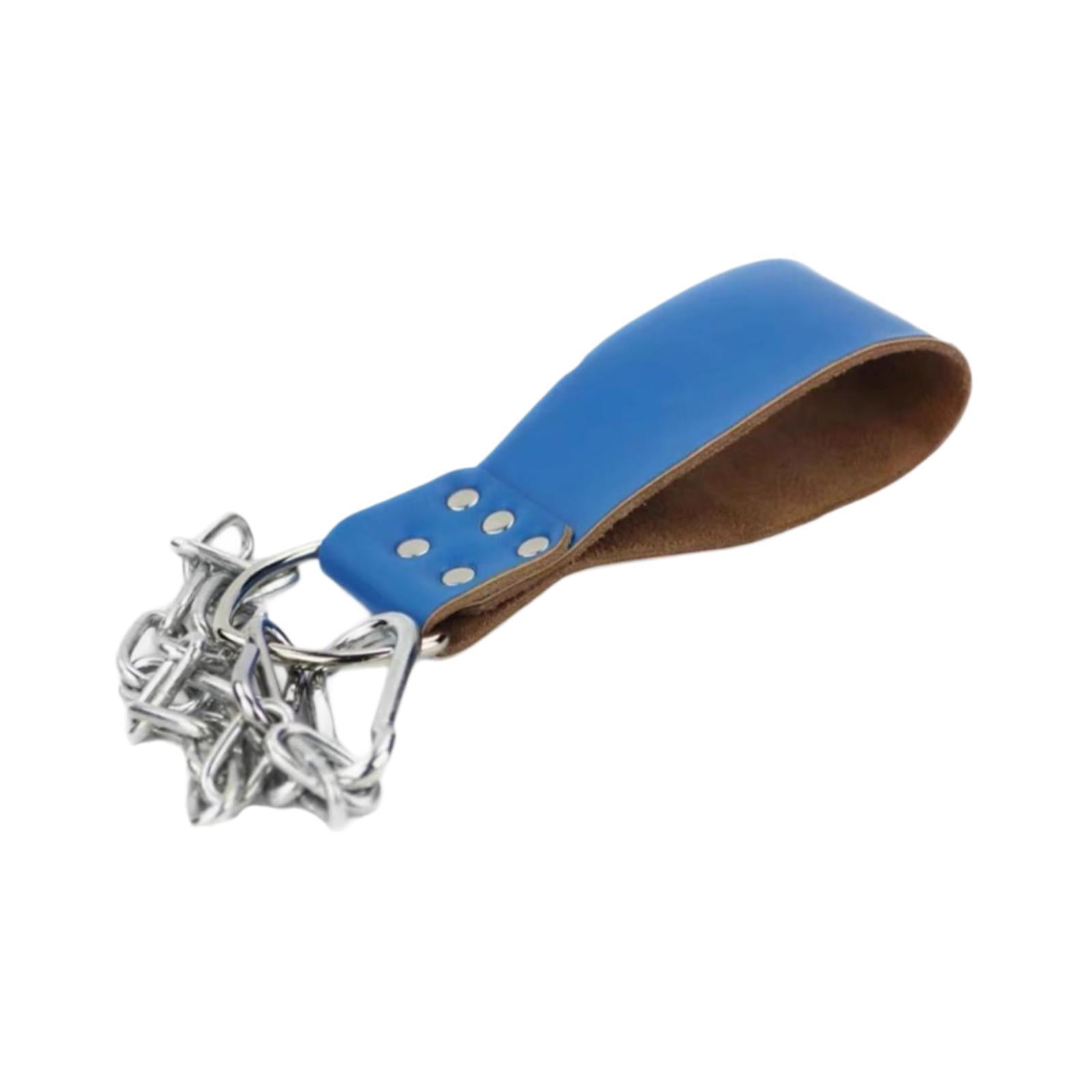 Baoblaze Dumbbell Loading Strap with Chain Waist Belt Attachment for Women Bodybuilding Blue
