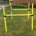 thumbnail image 1 of Pet Life TR3DG Dog Trainer Kit, Yellow - One Size, 1 of 1