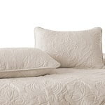 Brich Beige