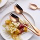 thumbnail image 5 of bolsas de acero inoxidable tenedor postre cuchara helado cuchara ensalada tenedor vajilla conjunto reutilizable, 5 of 5