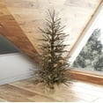 thumbnail image 5 of Vickerman 48" Vienna Twig Artificial Christmas Tree, Warm White Dura-lit LED Lights, 5 of 5