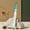 D, variant on Dry Erase Whiteboard Marker - Low Odor Fine Point White Board Pen - Vibrant Quick Drying Ink for Whiteboards Glass and Non-Porous Surfaces - 1 Marker - Green