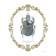 thumbnail image 2 of Wiens, James 15x18 Gold Ornate Wood Framed with Double Matting Museum Art Print Titled - Adorning Coleoptera IV, 2 of 4