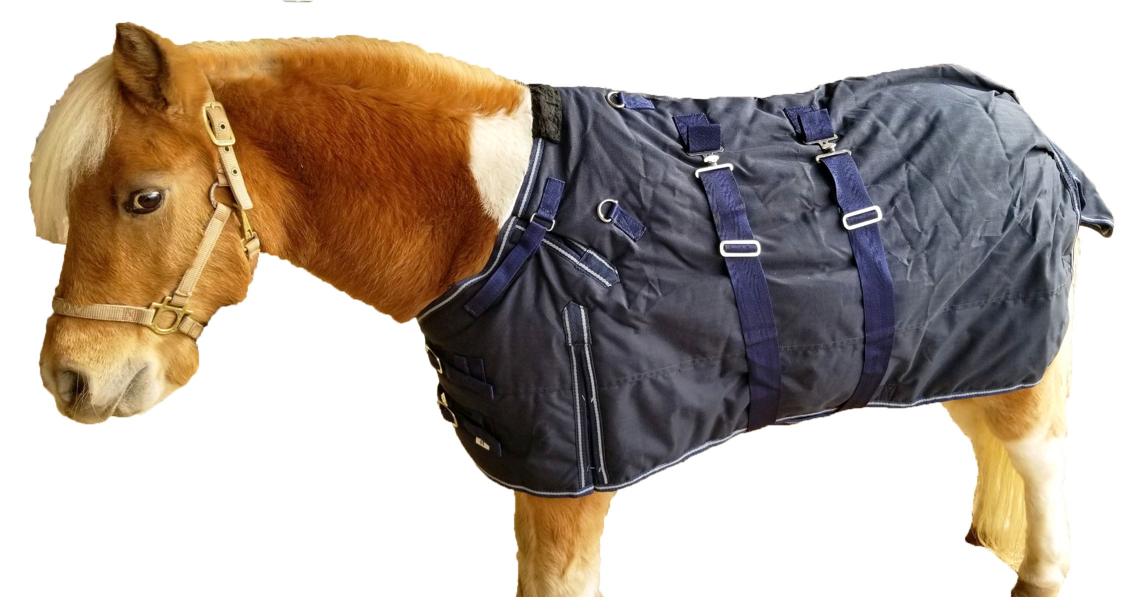1000D Miniature Weanling Donkey Pony Horse Foal Winter Blanket Navy
