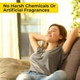 thumbnail image 6 of Aromasong Carpet Deodorizer Powder, 100% Natural Citrus, Safe for Pets, Carpet Powder for Vacuuming, Pet Odor Eliminator, 13 oz, 6 of 9