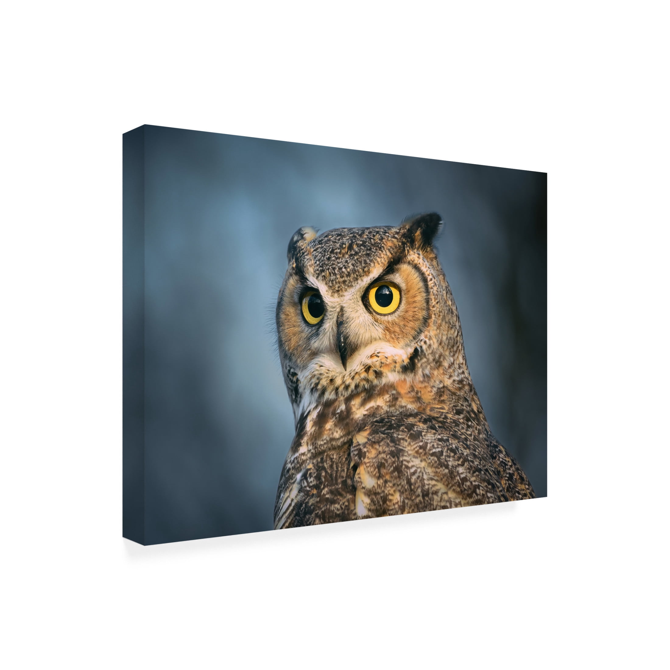 Trademark Fine Art Li Chen The eyes are the windows of the soul Canvas Wall Art