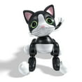 Zoomer Kitty, Interactive Cat