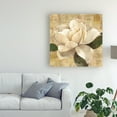thumbnail image 3 of Trademark Fine Art 'Gardenia Blossom On Script' Canvas Art by Albena Hristova, 3 of 3