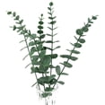 thumbnail image 2 of 5 piezas de hojas de eucalipto artificiales, hojas de eucalipto, para fiestas, bodas, decoración de jardines, vegetación Ormromra WRQX-220, 2 of 7