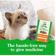 thumbnail image 4 of Greenies Pill Pockets - Chicken - 45g, 4 of 13