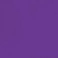 thumbnail image 4 of Playera Blusa De Mamá Hoy Mañana y Siempre – Amor Infinito en Cada Día Color Morado Talla Extra Grande Marca Emil SaEs, 4 of 4