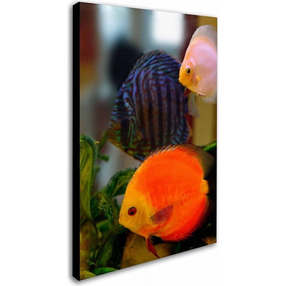 Trademark Kurt Shaffer "Multi-colored Discus" Gallery-Wrapped Canvas Art 12" x 19" (KS108-C1219GG)