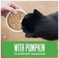 thumbnail image 4 of Tiki Cat Friends Chicken, Pumpkin & Lamb, 2.5 oz. Can, 4 of 9