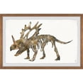 thumbnail image 3 of Marmont Hill Styracosaurus Skeleton Framed Wall Art, 36.00" x 1.50", 3 of 5