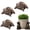 turtle, variant on 3Pcs Pot feet for Outdoor Planters, Planter Risers for Pots, Mini Animal Figurines Ornaments Planter Support, Funny Animals Shaped Pot feet for Indoor Outdoor Plant, Improve Airflow and Drainage