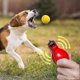 thumbnail image 3 of 2 Pcs Whistle Loud Emergency Referee Whistle Hand Whistle for Referees,sports Teachers,dog Trainers, 3 of 5