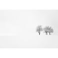 thumbnail image 3 of Bajrich, Amir 18x13 Black Modern Framed Museum Art Print Titled - Tree And Silence, 3 of 5