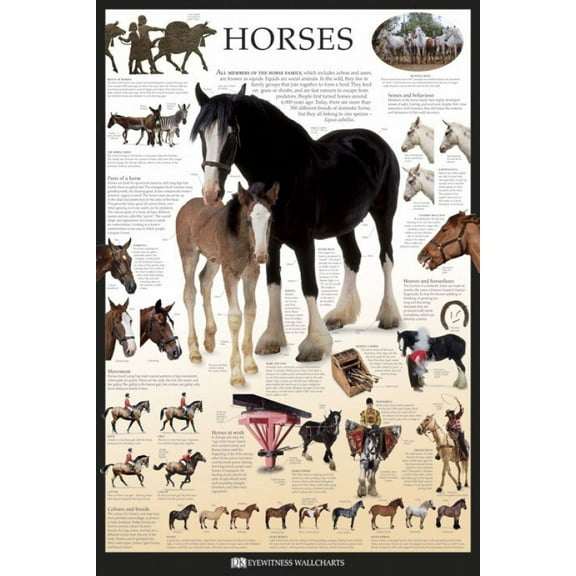 Horses - Dorling Kindersley Eyewitness Wallcharts Laminated Poster (24 x 36)